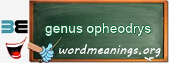 WordMeaning blackboard for genus opheodrys